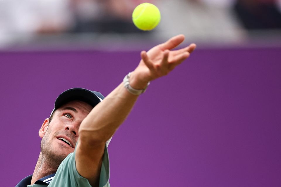 绿的繁华大 绿的繁华大