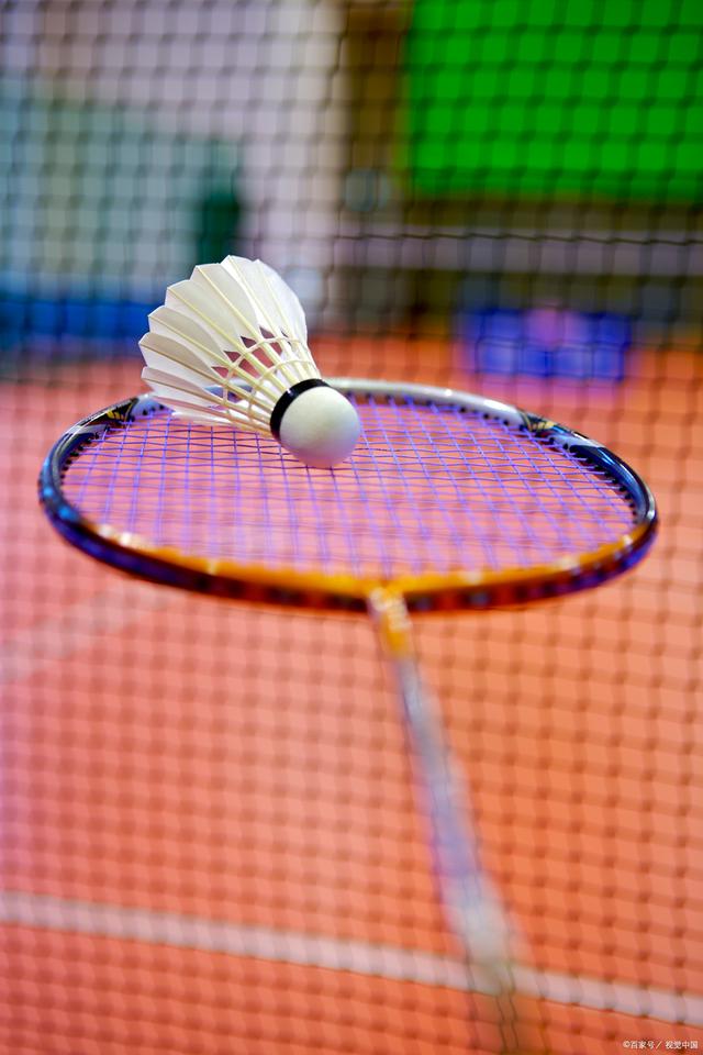 数热爱足球 数热爱足球