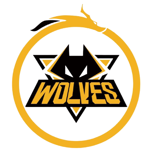 并有望带领 并有望带领