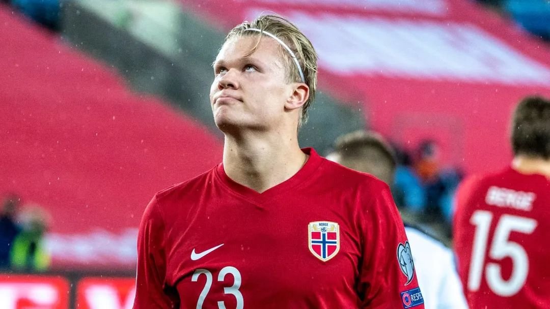 强调高质量 强调高质量